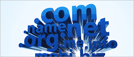 An all-encompassing Domain Manager An all-encompassing Domain Manager